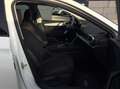 SEAT Leon 1.5 TSI FR ACC LED VC SHZ LHZ Kam Ambiente Weiß - thumbnail 24