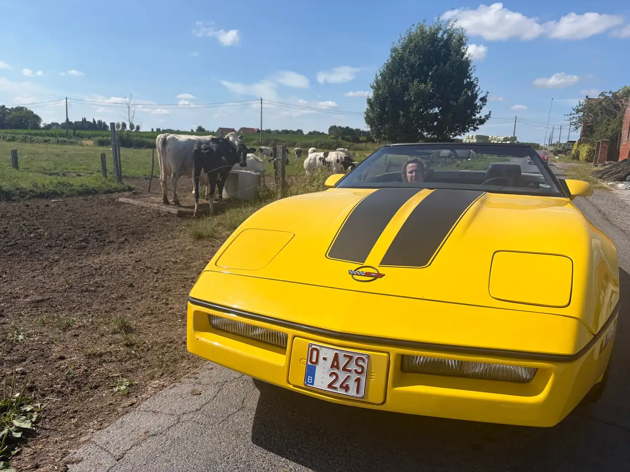 Chevrolet Corvette C4, foto 4