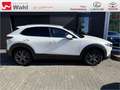Mazda CX-30 2.0 Selection 2WD Bianco - thumbnail 17