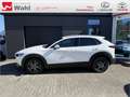 Mazda CX-30 2.0 Selection 2WD Bianco - thumbnail 3