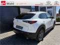 Mazda CX-30 2.0 Selection 2WD Weiß - thumbnail 15
