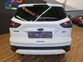 Ford Kuga 2.0 TDCI 140 CV 4WD Business Bianco - thumbnail 5