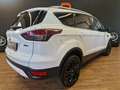 Ford Kuga 2.0 TDCI 140 CV 4WD Business Bianco - thumbnail 4