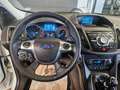 Ford Kuga 2.0 TDCI 140 CV 4WD Business Bianco - thumbnail 12