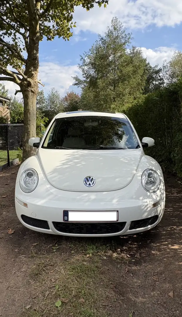 Volkswagen New Beetle 1.4 - 2
