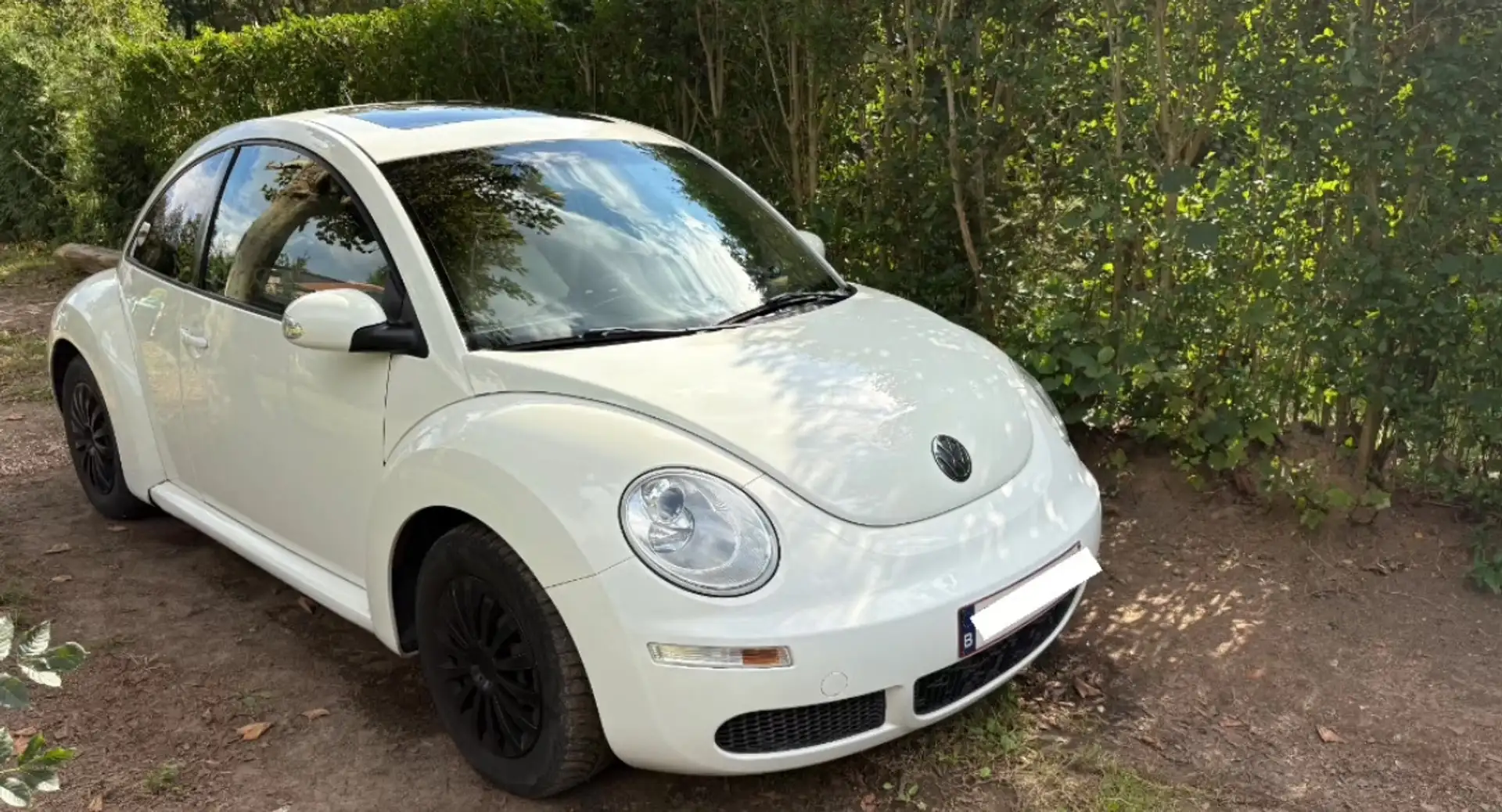 Volkswagen New Beetle 1.4 - 1