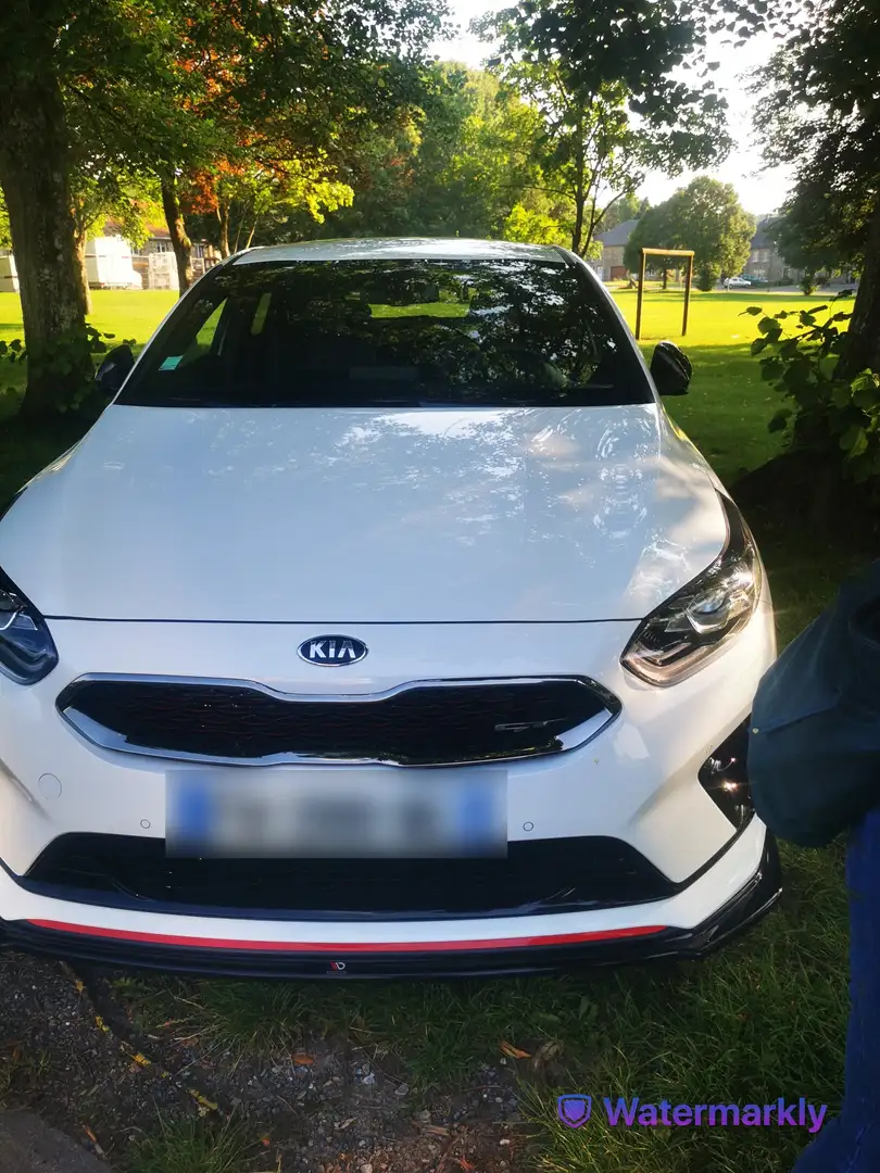 Kia ProCeed / pro_cee'd PROCEED 1.6 T-GDi 204 ch ISG DCT7 GT Blanc - 2