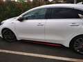 Kia ProCeed / pro_cee'd PROCEED 1.6 T-GDi 204 ch ISG DCT7 GT Blanc - thumbnail 7