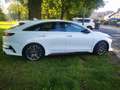 Kia ProCeed / pro_cee'd PROCEED 1.6 T-GDi 204 ch ISG DCT7 GT Blanc - thumbnail 4