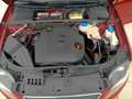 SEAT Exeo ST 2.0TDI CR Sport 170 Rosso - thumbnail 8