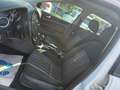 Ford Focus Focus Traveller Ecosport 1,6 TDCi DPF Ecosport Weiß - thumbnail 18