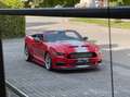 Ford Mustang Shelby Super Snake 50th Anniversary Rot - thumbnail 5