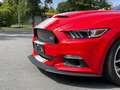 Ford Mustang Shelby Super Snake 50th Anniversary Rot - thumbnail 30