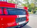 Ford Mustang Shelby Super Snake 50th Anniversary Rot - thumbnail 33