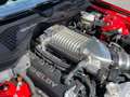 Ford Mustang Shelby Super Snake 50th Anniversary Rot - thumbnail 47