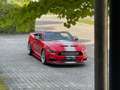 Ford Mustang Shelby Super Snake 50th Anniversary Rot - thumbnail 8