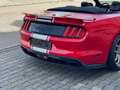 Ford Mustang Shelby Super Snake 50th Anniversary Rot - thumbnail 11