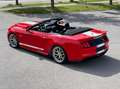 Ford Mustang Shelby Super Snake 50th Anniversary Rot - thumbnail 7