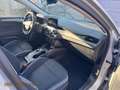 Ford Focus Focus SW 1.5 ecoblue Business 120cv auto GK454FM Silber - thumbnail 3