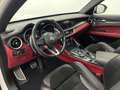 Alfa Romeo Stelvio Quadrifoglio Q4 PANO*ACC*KAM*KEY*CARPLAY Weiß - thumbnail 12