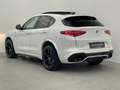 Alfa Romeo Stelvio Quadrifoglio Q4 PANO*ACC*KAM*KEY*CARPLAY Weiß - thumbnail 10