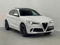 Alfa Romeo Stelvio Quadrifoglio Q4 PANO*ACC*KAM*KEY*CARPLAY Weiß - thumbnail 5