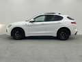Alfa Romeo Stelvio Quadrifoglio Q4 PANO*ACC*KAM*KEY*CARPLAY Weiß - thumbnail 11