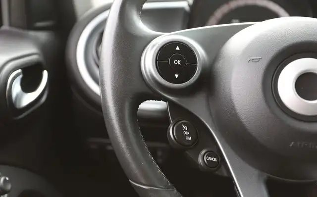 Smart Forfour view 15
