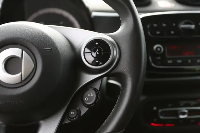 Smart Forfour view 16