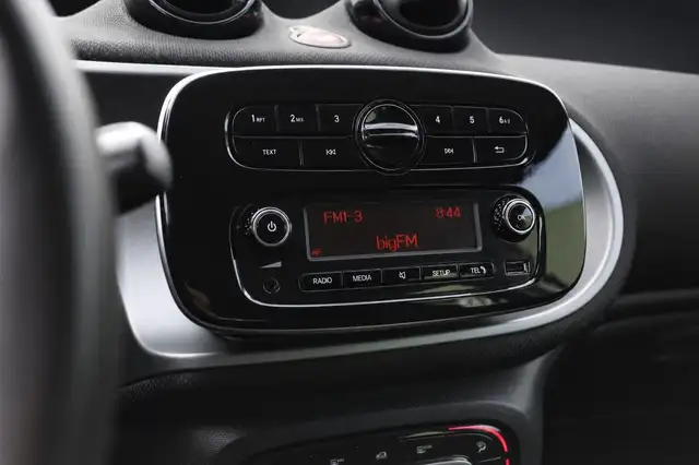 Smart Forfour view 17