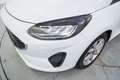 Ford Fiesta 1.0 EcoBoost Trend 100 Blanc - thumbnail 10