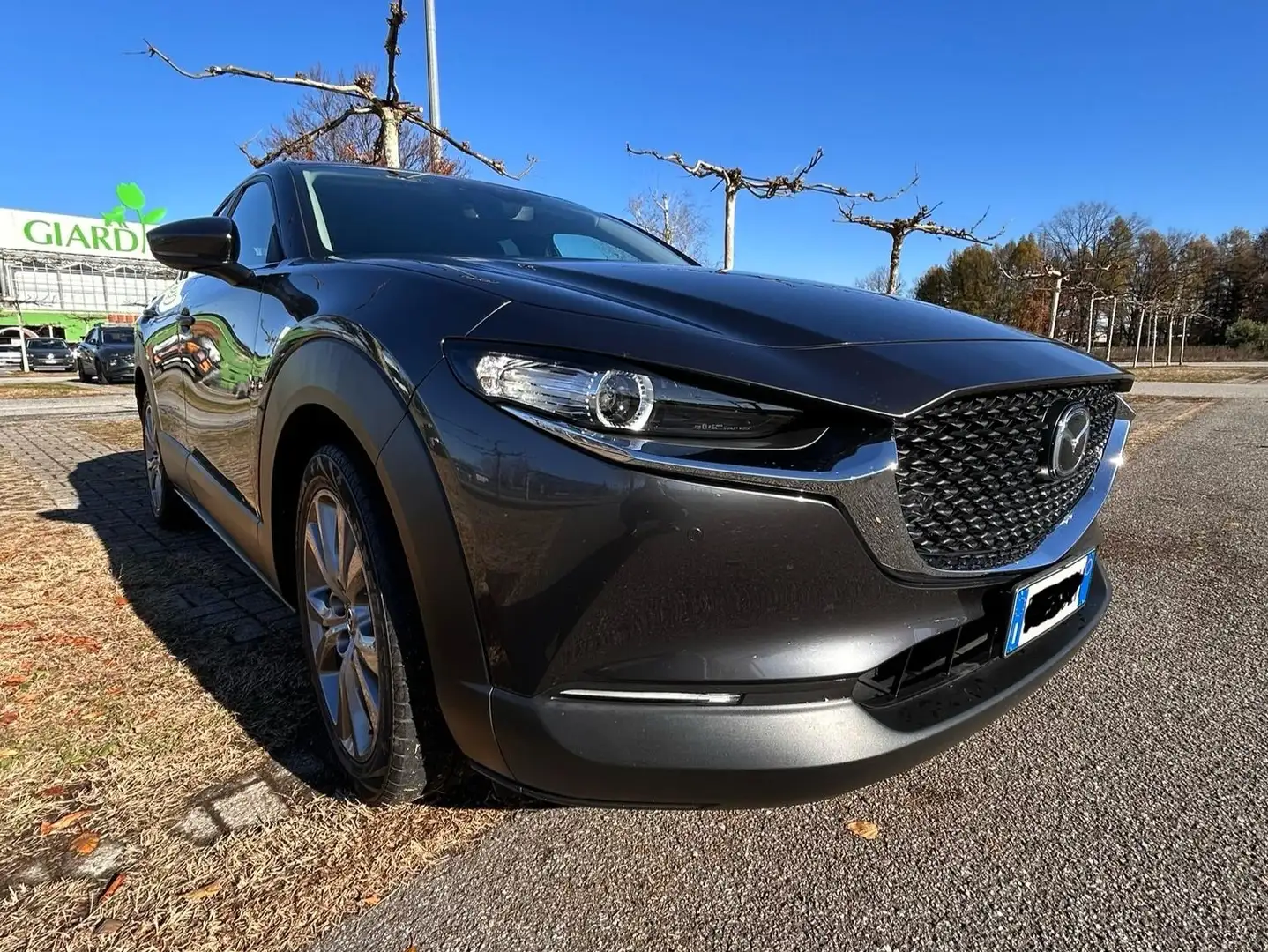 Mazda CX-30 CX-30 2.0 m-hybrid Executive 2wd 122cv 6mt Grigio - 1