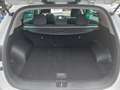 Kia Sportage Sportage 1.7 CRDI 141 CV DCT 2WD Cool Navi Bianco - thumbnail 15