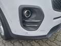 Kia Sportage Sportage 1.7 CRDI 141 CV DCT 2WD Cool Navi Weiß - thumbnail 20
