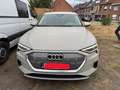 Audi e-tron e-tron 55 quattro advanced Beige - thumbnail 8