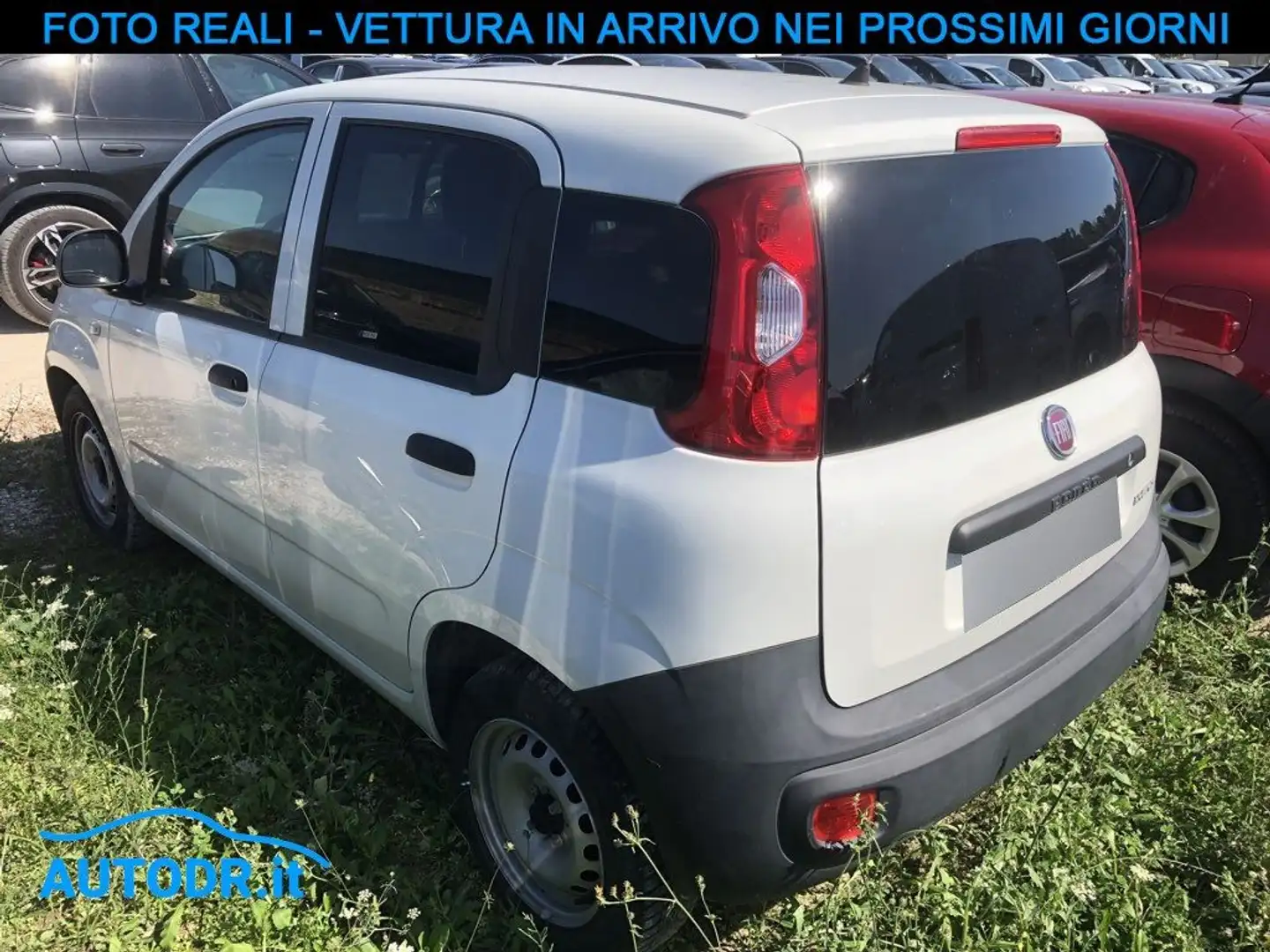 Fiat Panda VAN 2posti 1.0 GSE Hybrid AUTOCARRO KM CERTIFICATI Bianco - 2