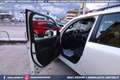 Toyota Land Cruiser 300 GXR 3.3D AT 4X4 309CV Blanc - thumbnail 36
