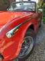 Triumph TR5 TR250 met overdrive Rood - thumbnail 16