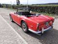 Triumph TR5 TR250 met overdrive Rood - thumbnail 4