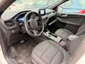 Ford Kuga 2.5 Duratec FHEV ST-Line AWD Aut. Blanco - thumbnail 8