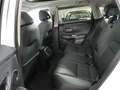 Honda ZR-V Advance Aut. | Auto Stahl Wien 23 Weiß - thumbnail 15
