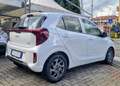 Kia Picanto 1.0 mpi Gpl Urban PREZZO REALE! Bianco - thumbnail 4