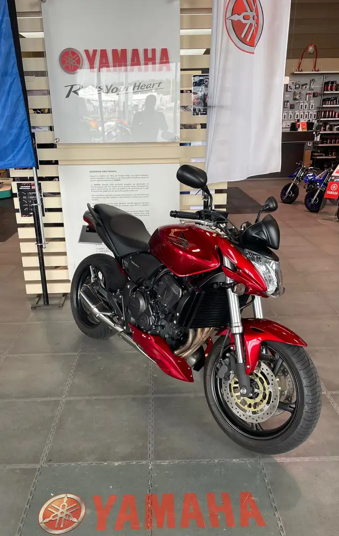 Honda Hornet - 1