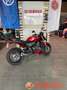 Honda Hornet - thumbnail 5
