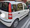 Fiat Panda 1.2 Dynamic 69cv E5 - thumbnail 5