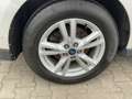 Ford Galaxy 2.0 EcoBlue Titanium LED*ACC*AHK*eleHeckkl Argento - thumbnail 15