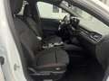 Ford Focus Turnier ST-Line X 1.Hand+B&O+R.Kam+Totwink Weiß - thumbnail 13