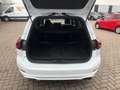Ford Focus Turnier ST-Line X 1.Hand+B&O+R.Kam+Totwink Weiß - thumbnail 15