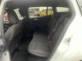 Ford Focus Turnier ST-Line X 1.Hand+B&O+R.Kam+Totwink Weiß - thumbnail 14