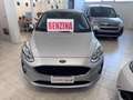 Ford Fiesta 1.0 Ecoboost 100 CV 5 porte Vignale Szary - thumbnail 2